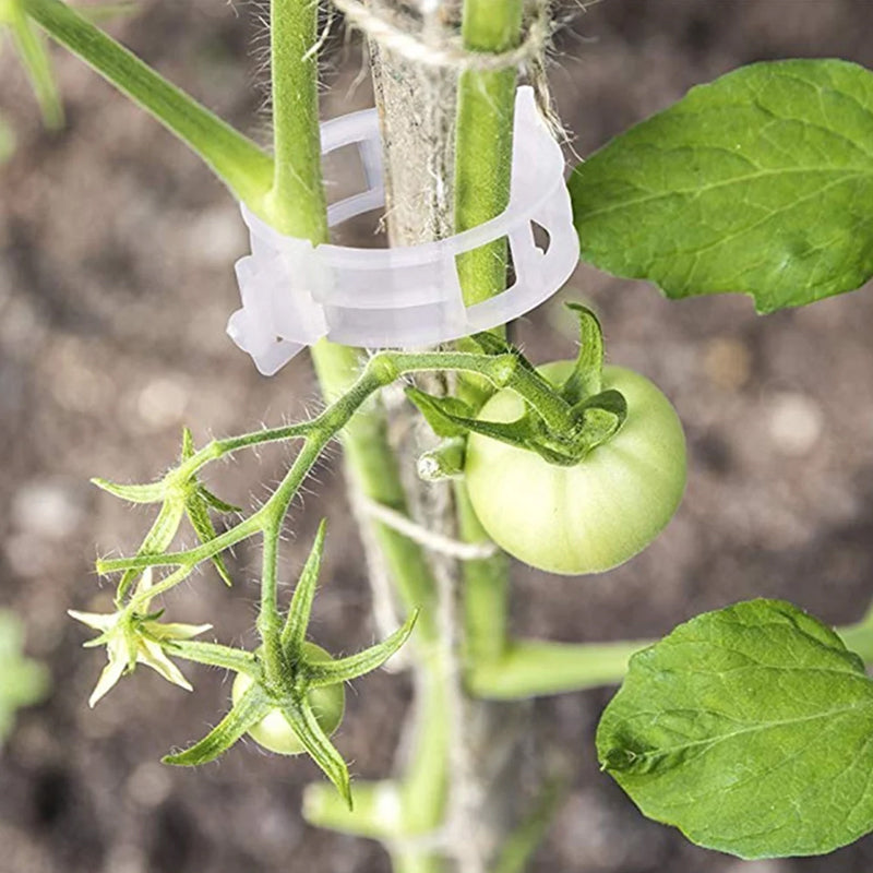 Plante støtteklipp | Luvikno