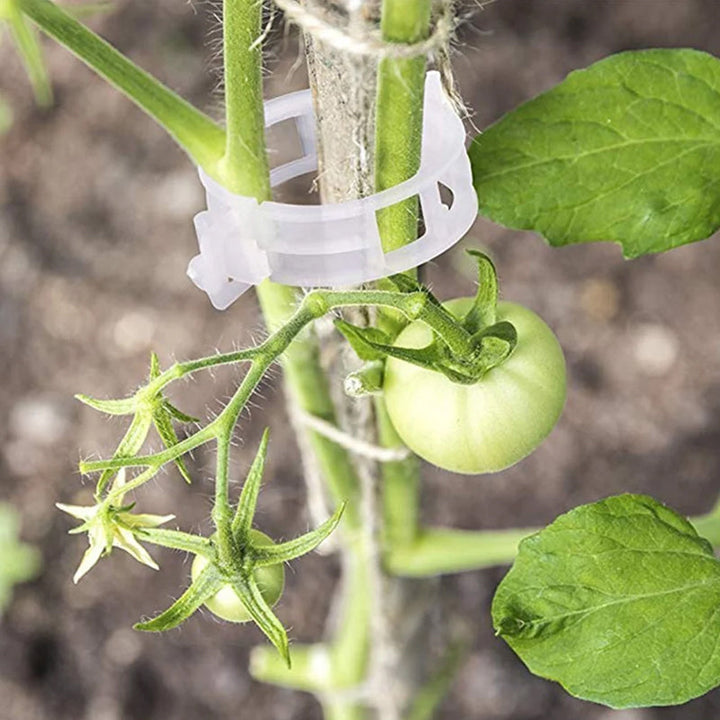 Praktisk Plante Støtte Klype | Luvikno