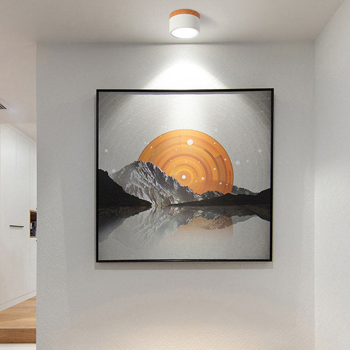LED Taklampe Moderne Flush Mount Sylinder Luvikno