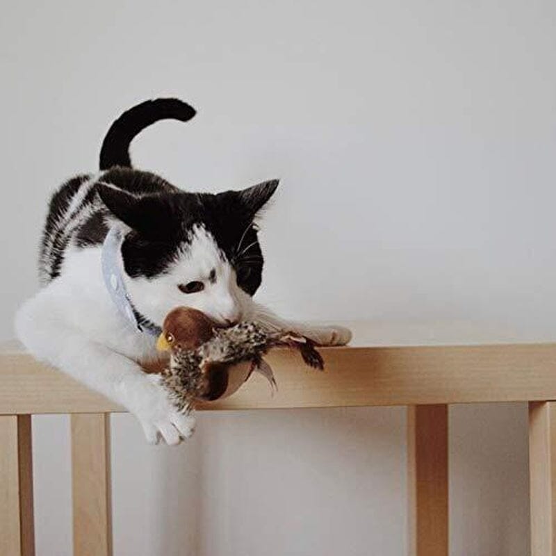 Katt leketøy - Simulert kvitre fugl Luvikno