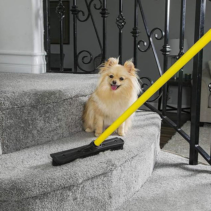 Pet Hair Removal Broom | Luvikno