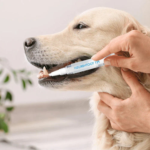 ChewClean Kjæledyr Tannbørste Pinne Luvikno