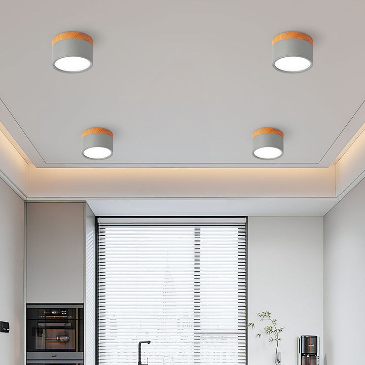 LED Taklampe Moderne Flush Mount Sylinder Luvikno