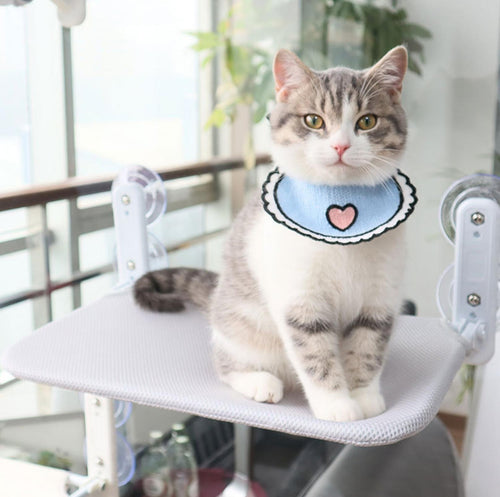 Kosekatt Vindu Hengekøye | Luvikno