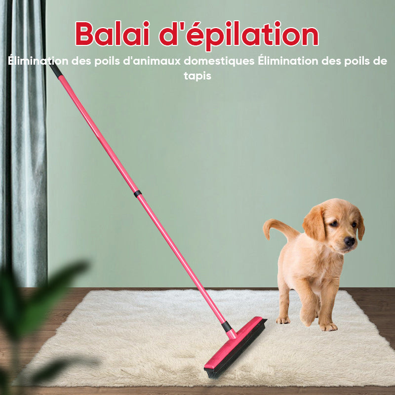 Pet Hair Removal Broom | Luvikno