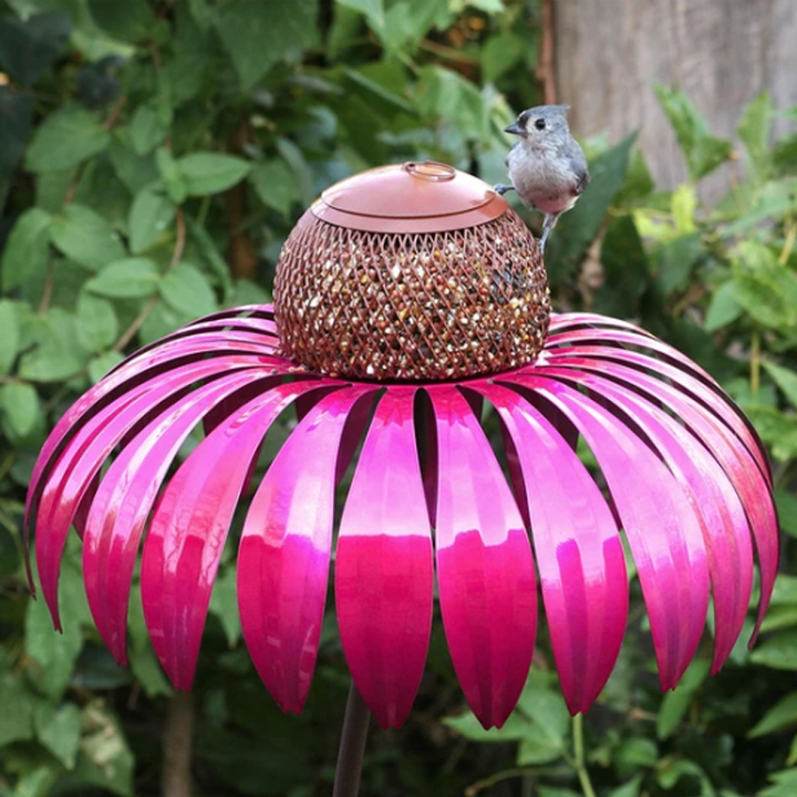 Bird Feeding Station D'éChinacéE | Luvikno