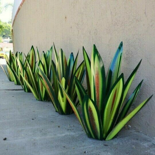 Anti-Rust Metall Tequila Agave Plante | Luvikno
