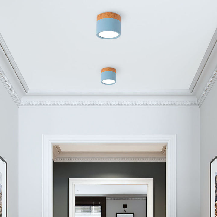 LED Taklampe Moderne Flush Mount Sylinder Luvikno