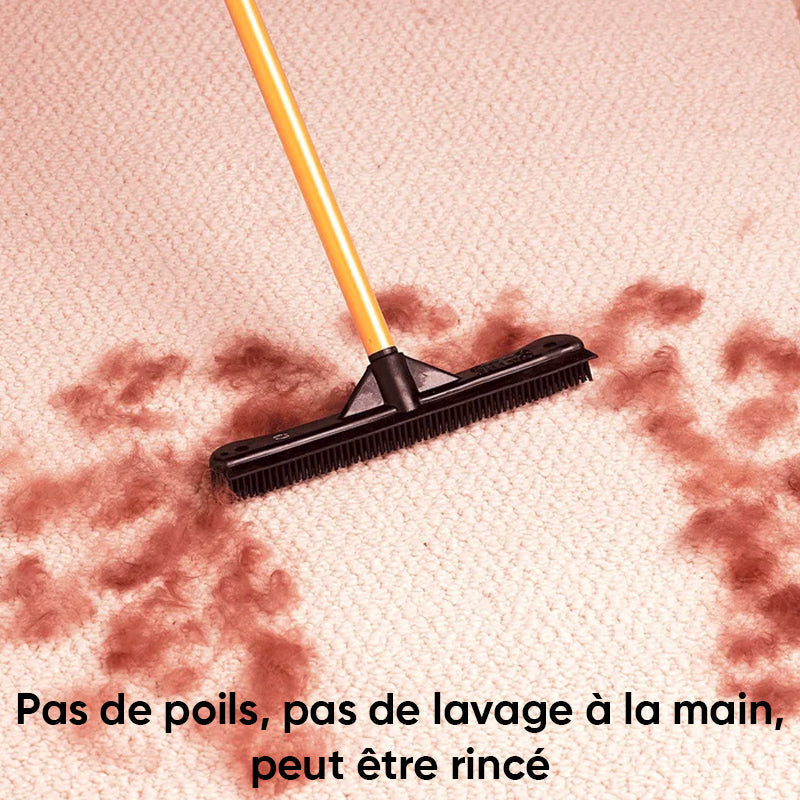 Pet Hair Removal Broom | Luvikno