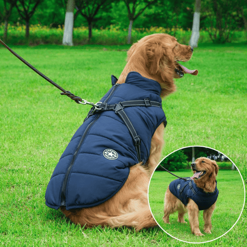 Luvikno | PupGuard - Vinter-hundedress med seletøy