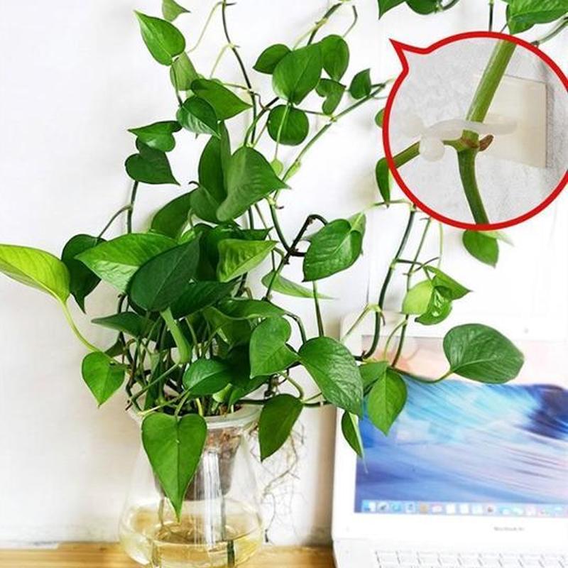 Veggholder for klatreplanter (30 deler) | Luvikno