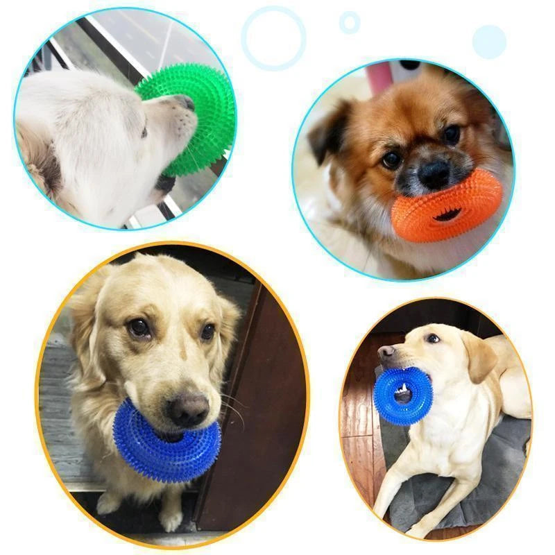 Vocal Ball Toy for Dog to Bite | Luvikno