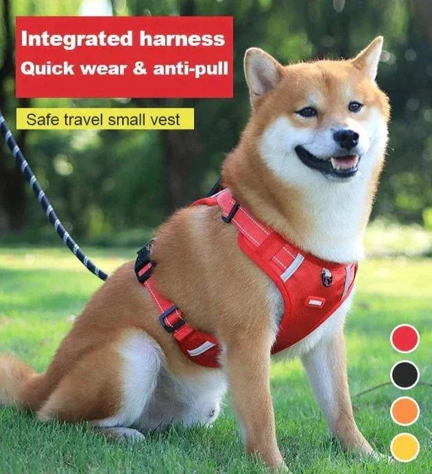DogGrip Gå Trygt med Hunden Din | Luvikno