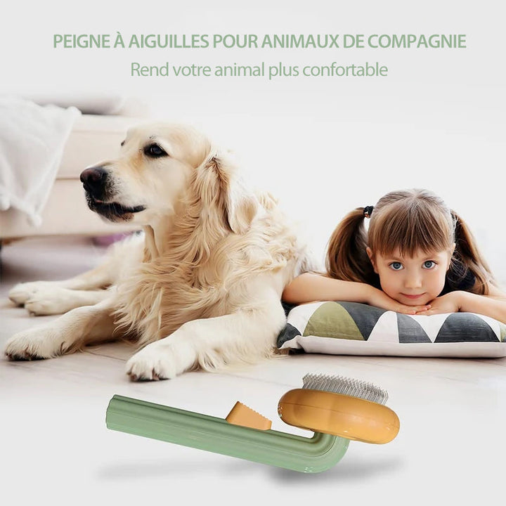 Pumpkin Comb Brush for Pets | luvikno
