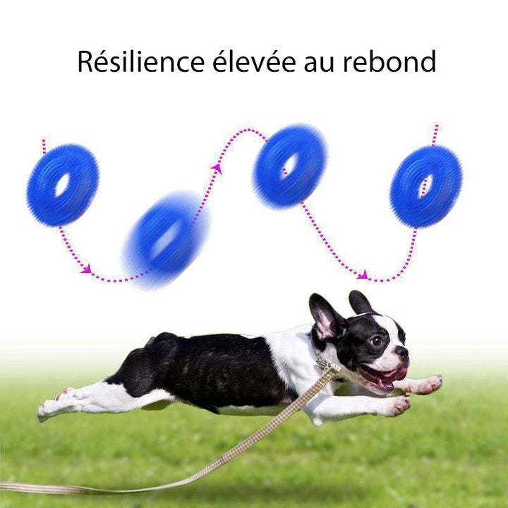Vocal Ball Toy for Dog to Bite | Luvikno