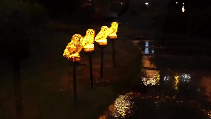SolarOwl - Moderne LED Hage Lampe med Unik Design | Luvikno