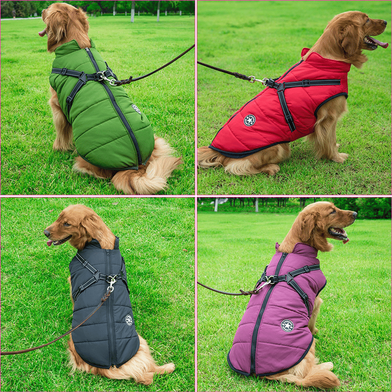 Luvikno | PupGuard - Vinter-hundedress med seletøy