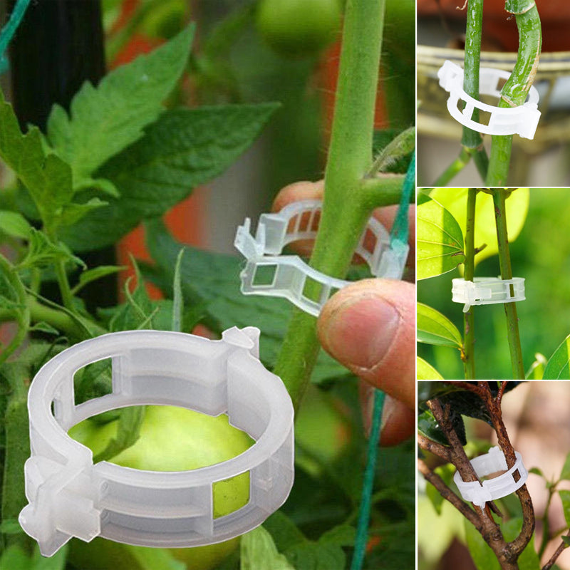 Plante støtteklips | Luvikno