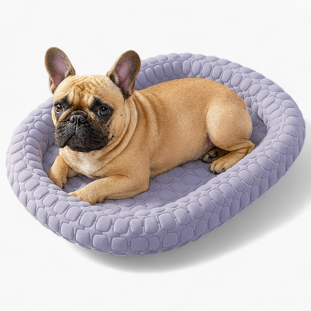 FrostiPad-French-Bulldog-Summer-Bed.jpg