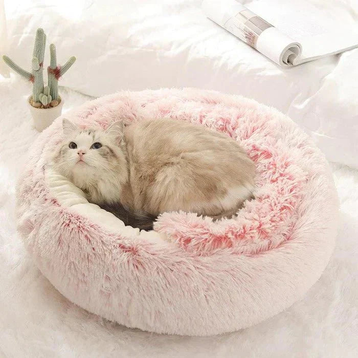 KittyCove Ultimativt komfort for katten din | Luvikno