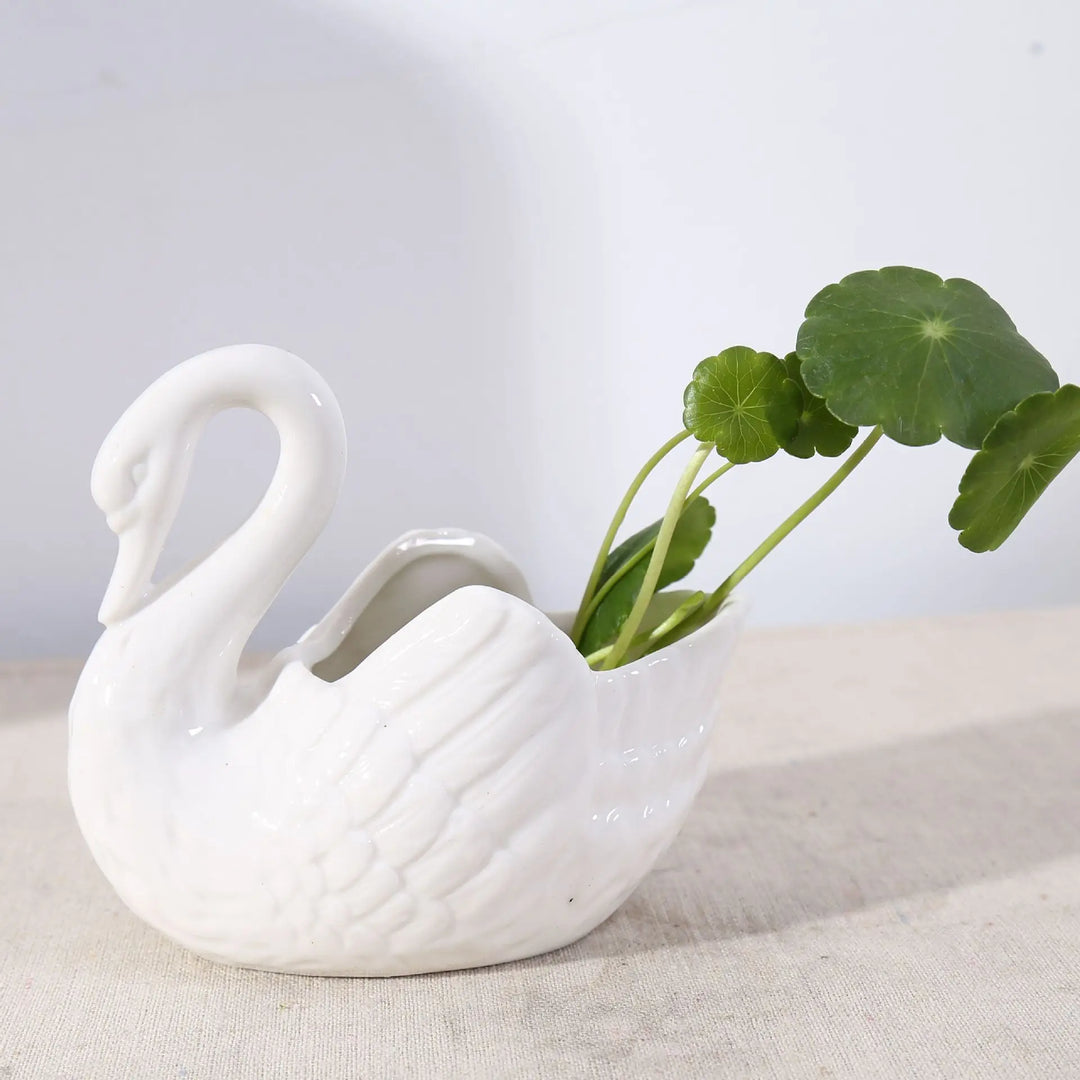 Svan Minimal Keramisk Potte | Luvikno