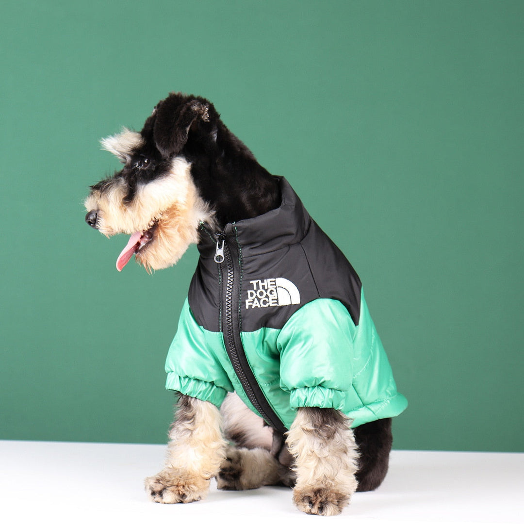 Hunde-vinterjakke | Fôret og vindproof