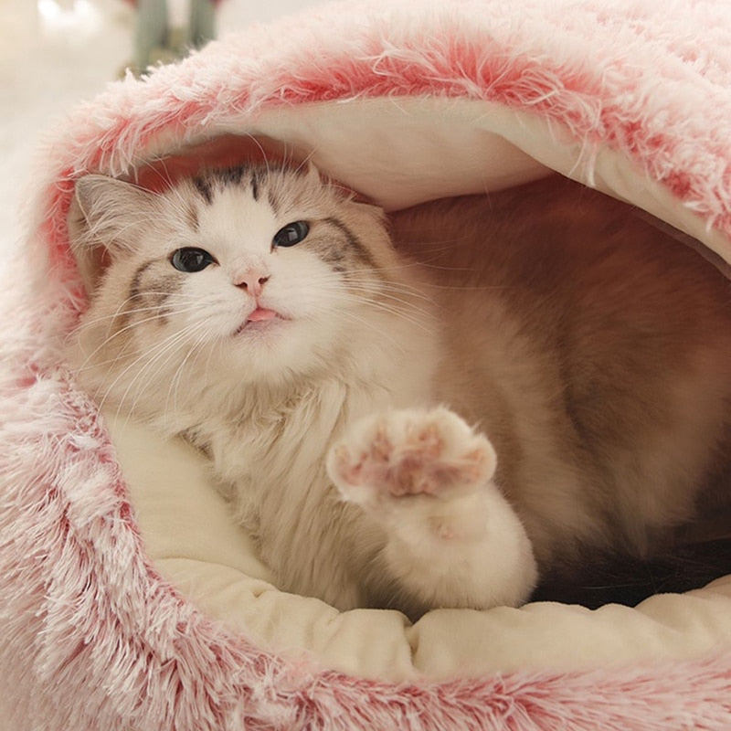 Katt seng | Luvikno