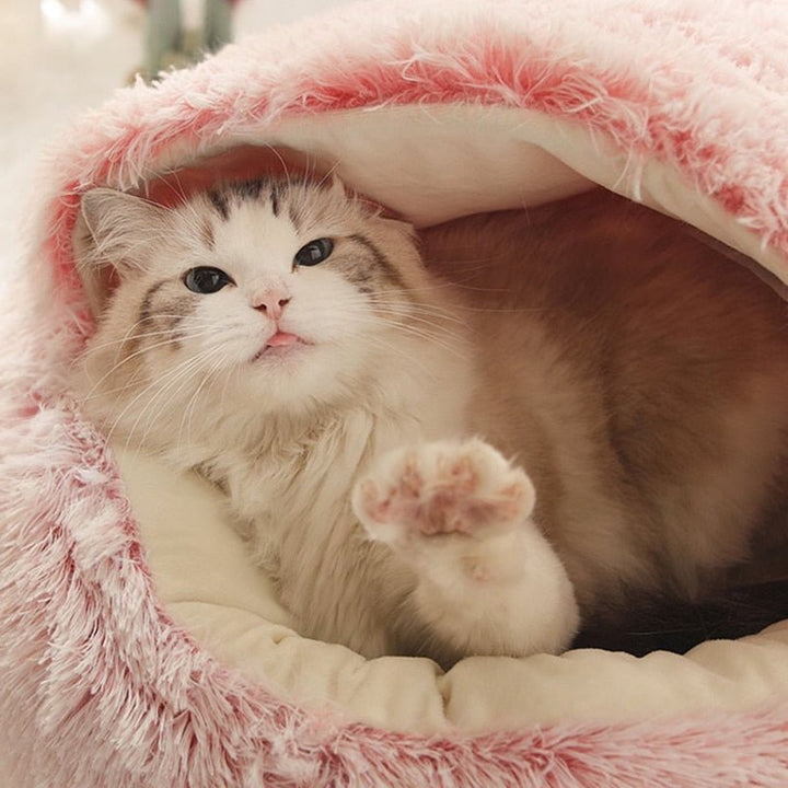 KittyCove Ultimate Comfort for Your Cat | Luvikno