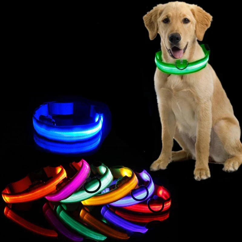 GlowCollar LED – BrightPaws Luvikno
