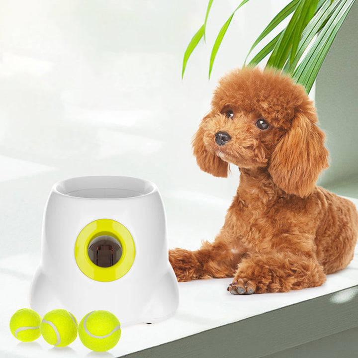 PlayBolt Automatisk Ball Kaster for Hunder | Luvikno