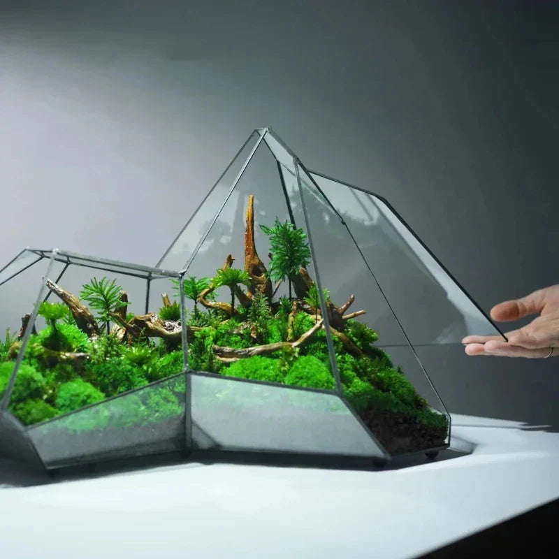 Geometrisk Glass Moss Plante Terrarium Vase | Luvikno