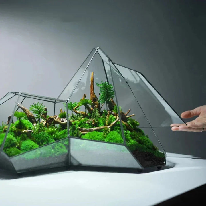 Geometrisk Glass Moss Plante Terrarium Vase | Luvikno