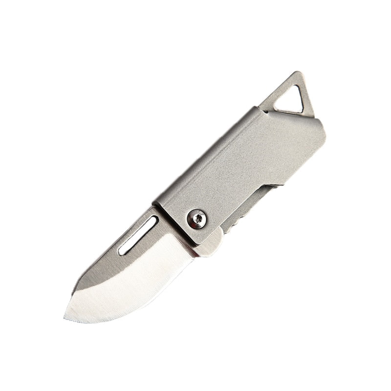 Foldbar Master Rustfritt Stål Overlevelses Mini Kniv | Luvikno