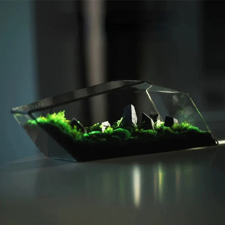 Geometrisk Glass Moss Plante Terrarium Vase | Luvikno