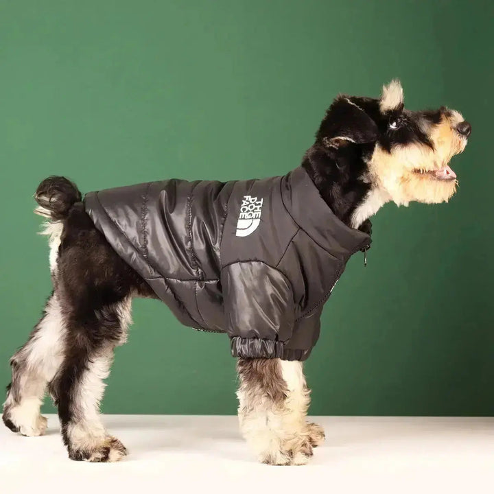Hunde-vinterjakke | Fôret og vindproof