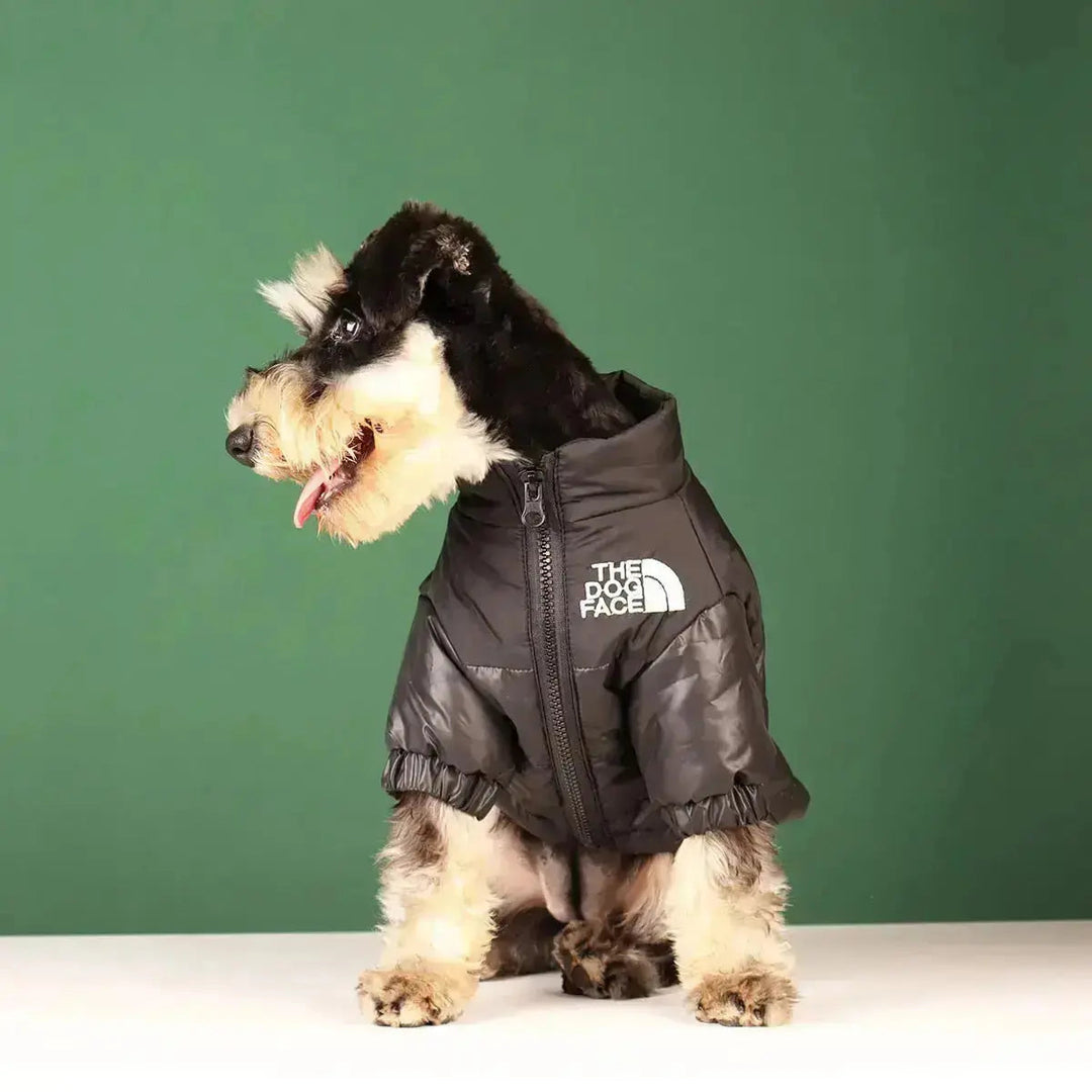 Hunde-vinterjakke | Fôret og vindproof