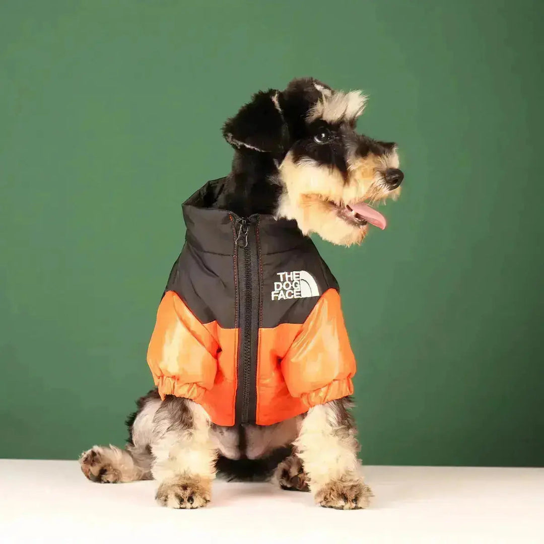 Hunde-vinterjakke | Fôret og vindproof