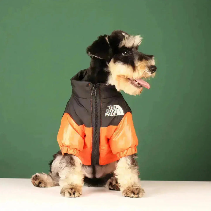 Hunde-vinterjakke | Fôret og vindproof