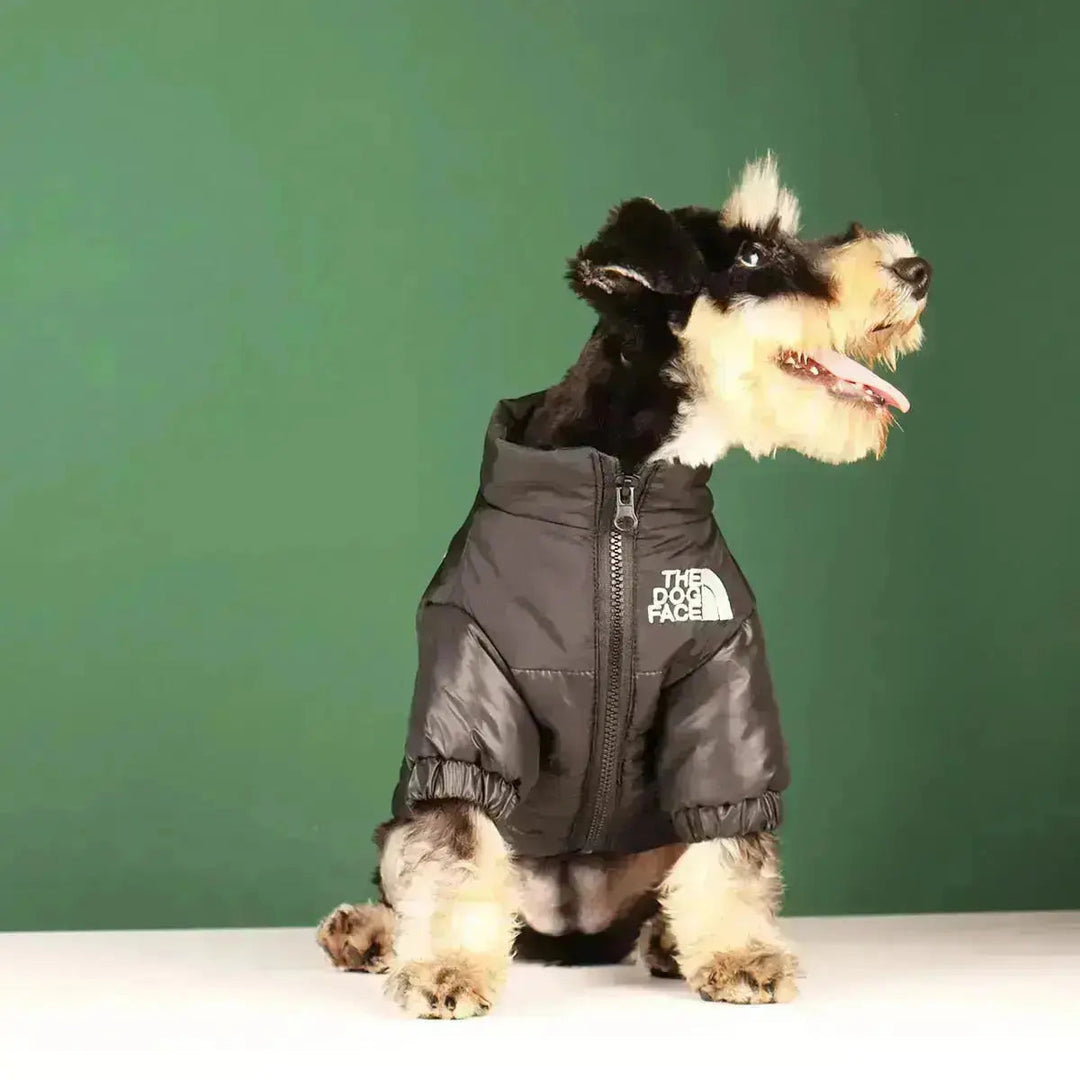 Hunde-vinterjakke | Fôret og vindproof