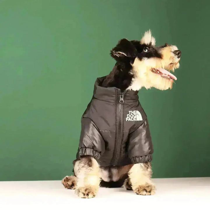 Hunde-vinterjakke | Fôret og vindproof