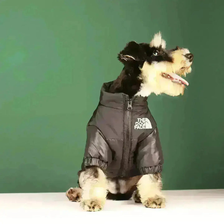 Hunde-vinterjakke | Fôret og vindproof