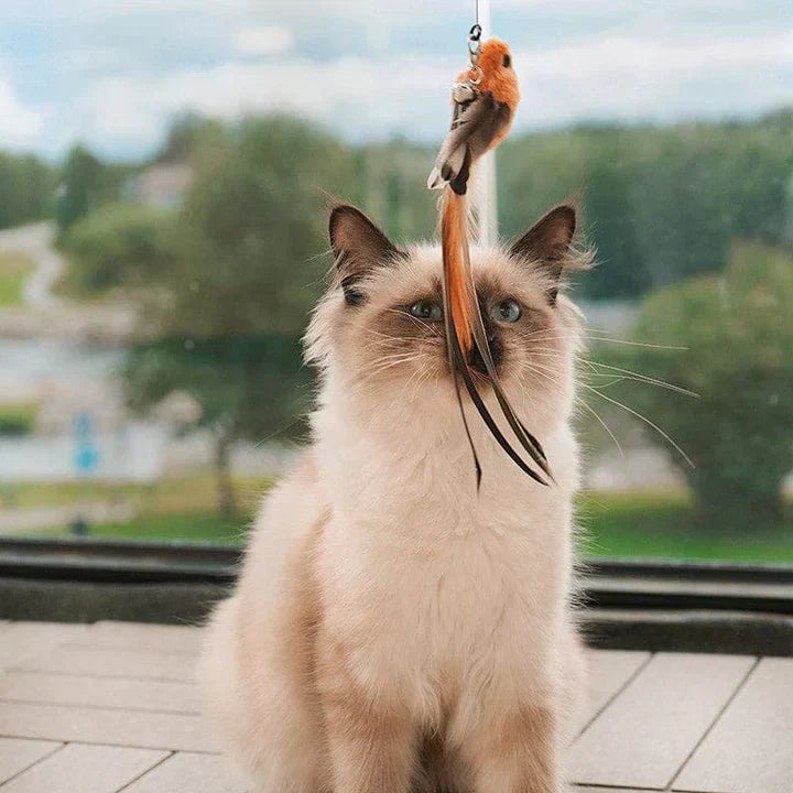 Natural Playtime - Interaktiv Fugle for Katter Luvikno