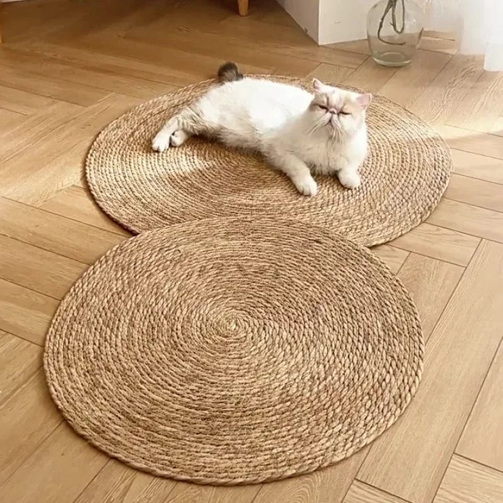 Luvikno | KrazeLuxe Matt — Endelig fred fra kløe-kaos og den favorittplassen for katten din