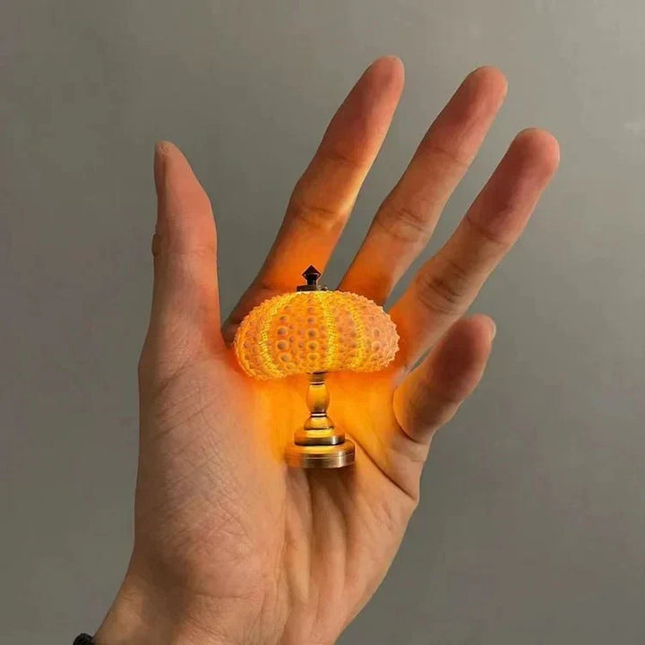 Bordlampe Mini Sjøpinnsvin Skall Lys Luvikno