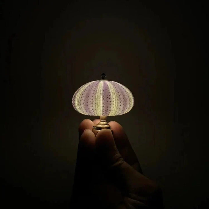 Bordlampe Mini Sjøpinnsvin Skall Lys Luvikno