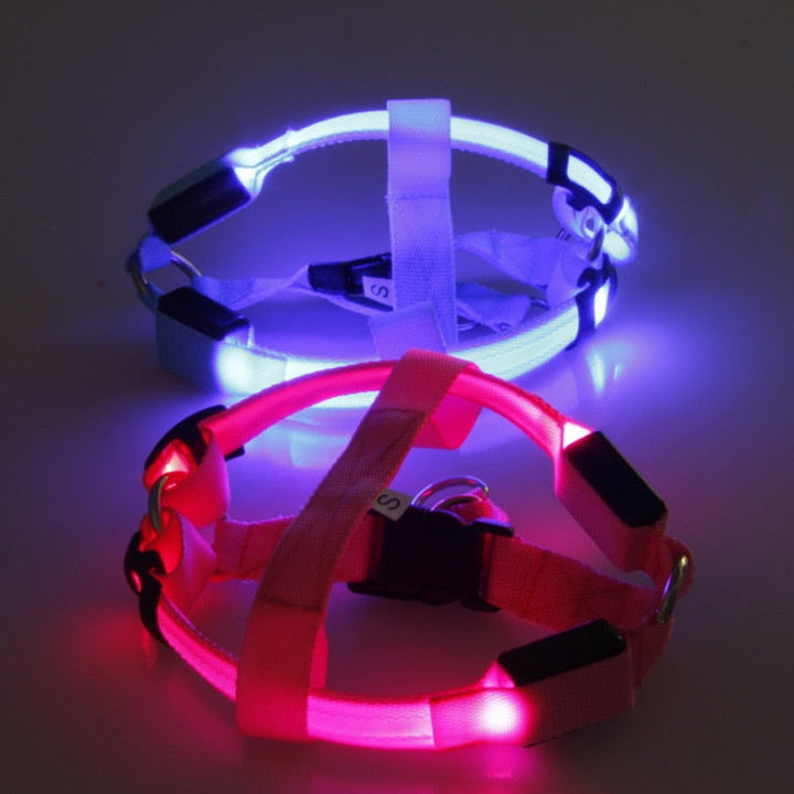 Hundesele med LED - Glow&Go Luvikno