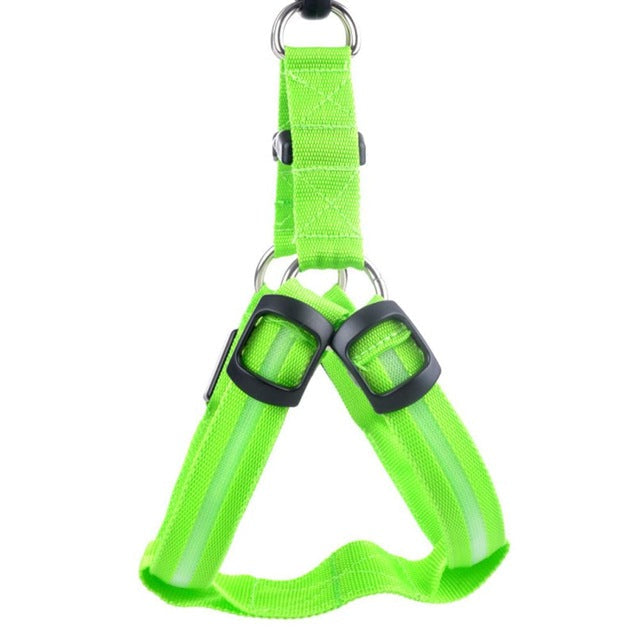Hundesele med LED - Glow&Go Luvikno