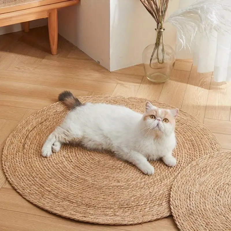 Kloreteppe for katter | Luvikno