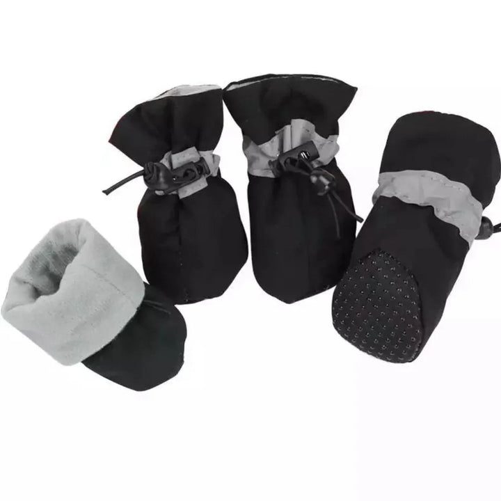 Winter Paw Protection – Paw Walks Luvikno