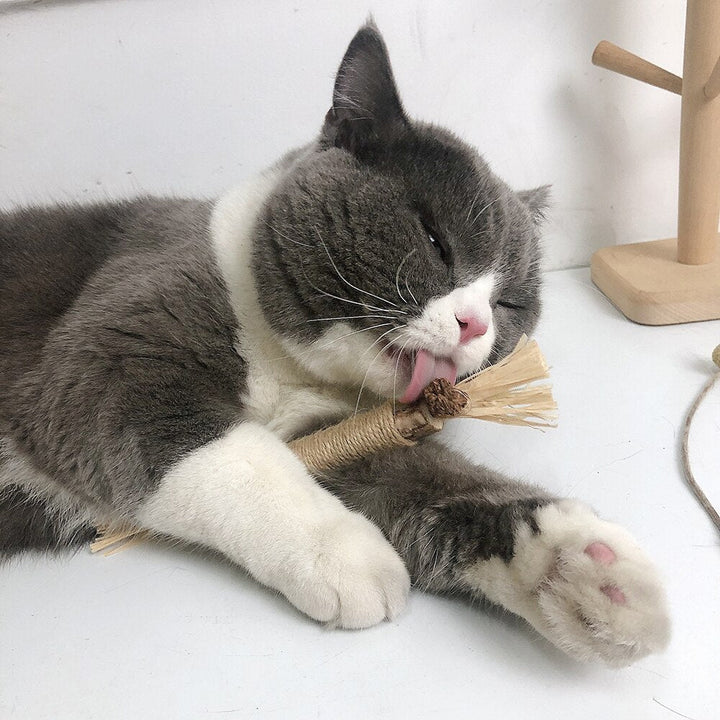 Interaktive tyggepinner for katter - ChewPlay Luvikno